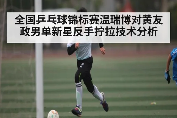 全国乒乓球锦标赛温瑞博对黄友政男单新星反手拧拉技术分析